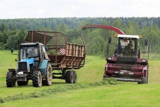У сельскагаспадарчых арганізацыях раёна пачалося “зялёнае жніво”