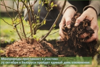 Мінпрыроды запрашае да ўдзелу: 29 кастрычніка ў Беларусі пройдзе адзіны дзень азелянення<br />