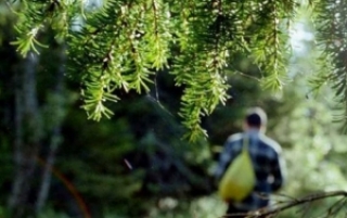 Як трэба паводзіць сябе ў лесе, нагадваюць супрацоўнікі Сенненскага РАНС<br />