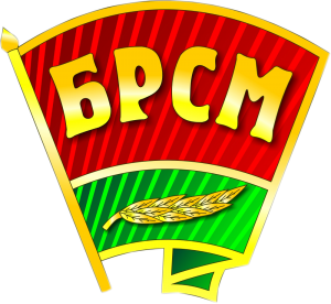 <p>БРСМ организовал работу горячих телефонных линий для пожилых
людей</p>