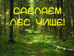 В эту субботу, 20 октября, ГЛХУ «Богушевский лесхоз» приглашает всех неравнодушных жителей Сенненского района присоединиться к республиканской добровольной акции “Чистый лес-2018”.