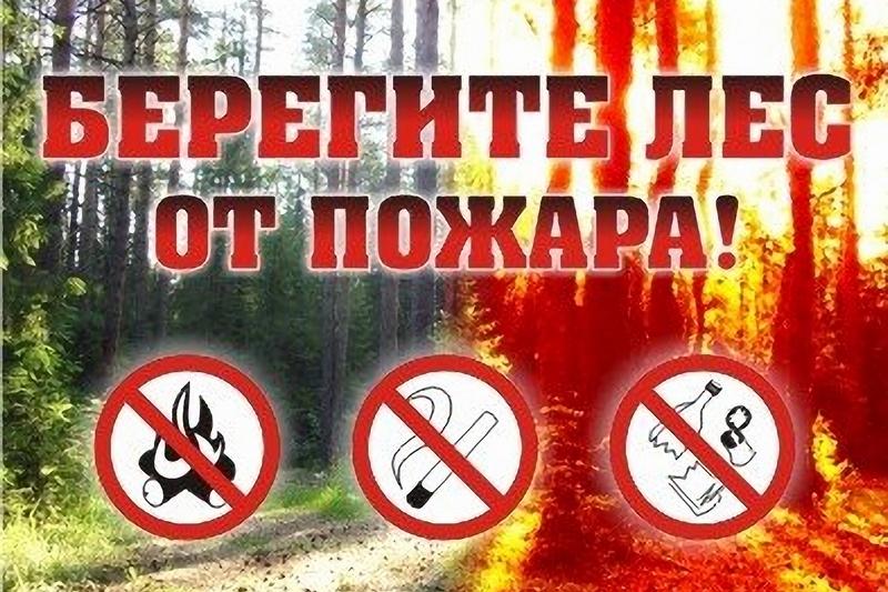 Если увидел огонь в лесу