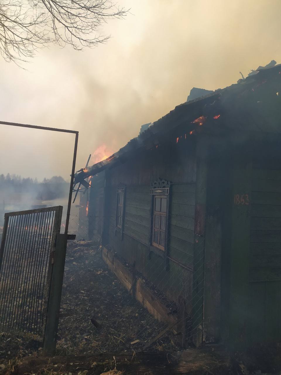 Чем опасны весенние палы